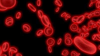 eAtDFrH4rrzpHa28C1J2.png?w=940&h=940