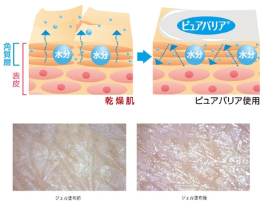 ピュアバリア塗布前後の比較