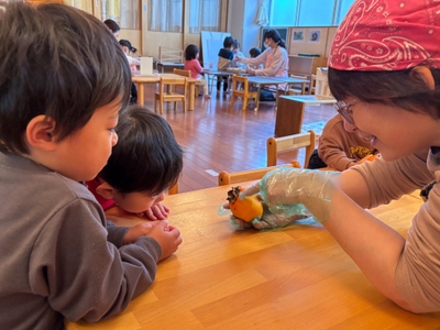 柿を観察する園児たち
