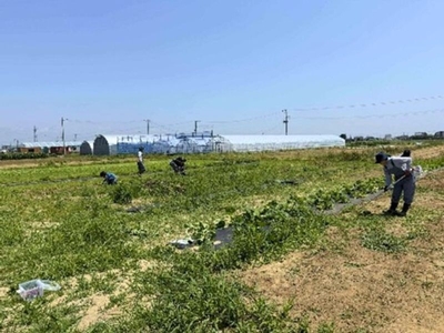 eCNIC7rteYVKVpdJS51T.jpg?w=940&h=940