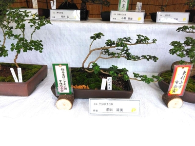 eCbXJkDw951SOZ5AK9Lh.jpg?w=940&h=940