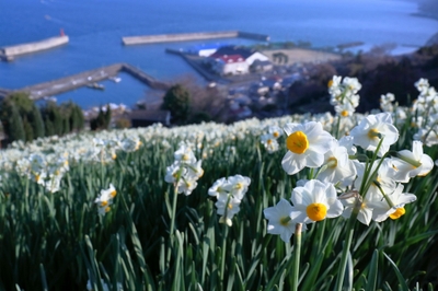 eCdOJzC75LMSc9oV18P3.jpg?w=940&h=940