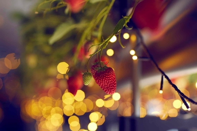 eDwQ1ZhcTiuO4netv8Dx.jpg?w=940&h=940