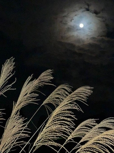 eE1cmIY6bA4m6IJudnZe.jpg?w=940&h=940