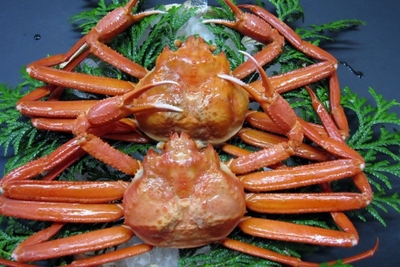 eEW7LL8qMj4rIYubDtkp.jpg?w=940&h=940