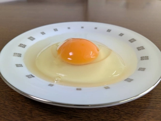 大分で養鶏業を行うカジワラファーム、 有機JAS認証のオーガニック卵を4月14日に発売