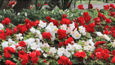 eHLThQhYezR400M3JDMx.png?w=940&h=940