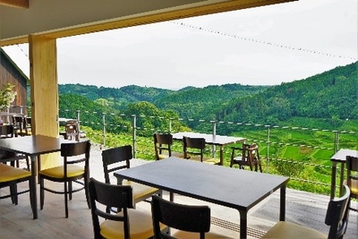 eHSMKaI1guSiGddOwASc.jpg?w=940&h=940