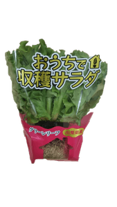 eHcWmqXxL3ppVoV7thfj.png?w=940&h=940