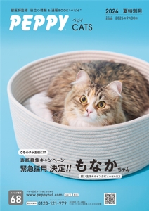 eKrtzKAZGnmhGewWRVpi.jpg?w=940&h=940