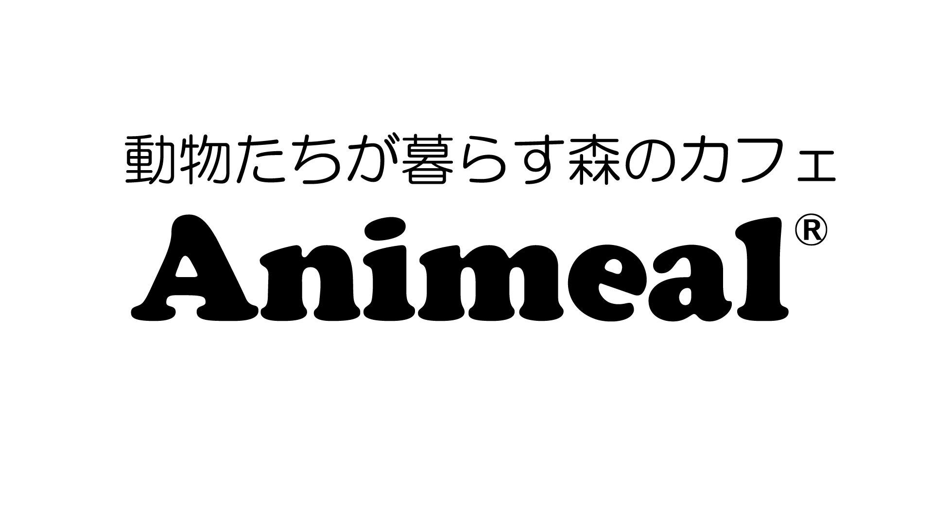 日付上部店舗ロゴ