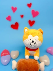 ニッコリ笑顔とモフモフしっぽがキュート！ 「秋田犬たれみみだいちゃん」のぬいぐるみが ファンの熱いリクエストで誕生