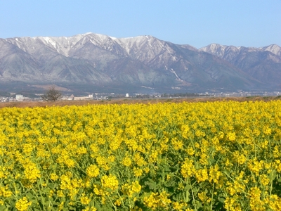 提供：Biwako Visitors Bureau