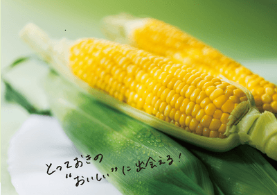 ePLVn8kzExRfsGvOFZjJ.png?w=940&h=940