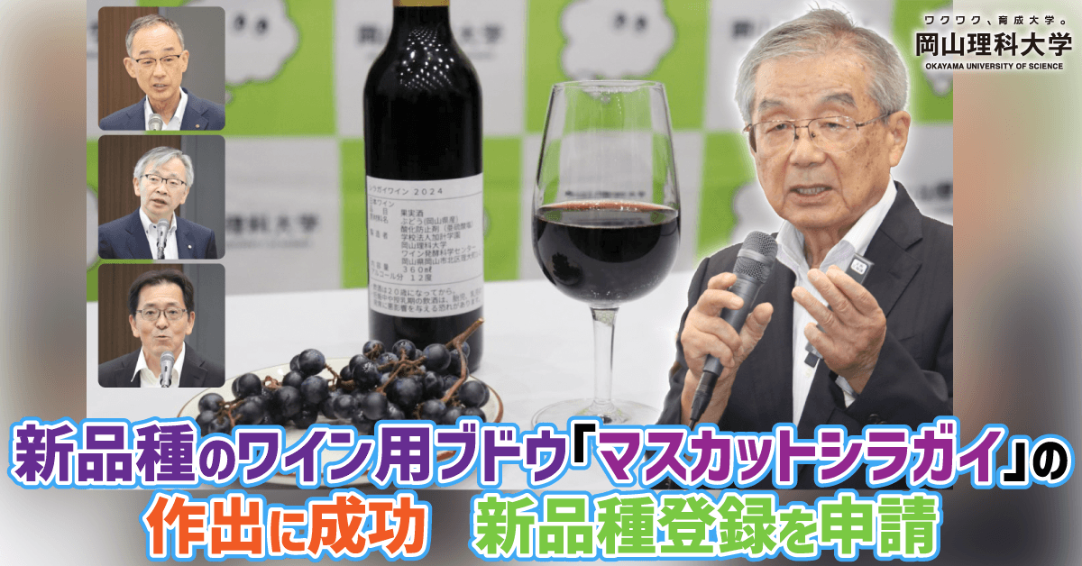 【岡山理科大学】新品種のワイン用ブドウ「マスカットシラガイ」の作出に成功　新品種登録を申請