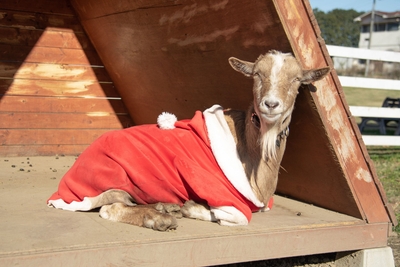 eSYG3tk9gfCfCuRNpL9E.jpg?w=940&h=940