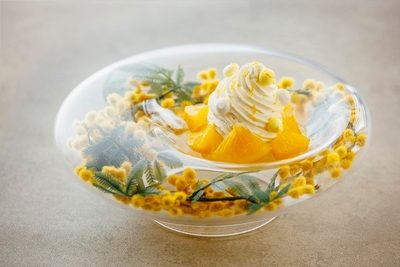 eT9HhHavipcCNnQSA9VK.jpg?w=940&h=940