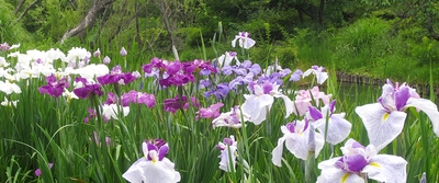 eTR6Ig5OtRRDlEDiah19.jpg?w=940&h=940