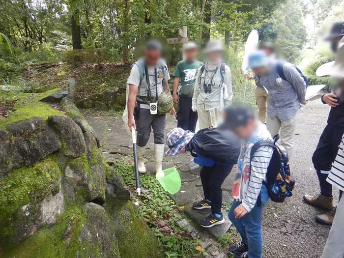 こんなところにも隠れています