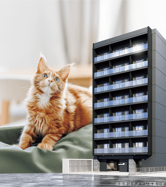 猫と人の幸せを実現する全戸「猫」特化型賃貸マンション
「LEGALAND+猫MIYAKOJIMA」竣工のお知らせ