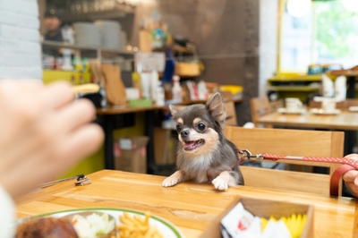 eVhyiDGEFAHr2rVb4Q9b.jpg?w=940&h=940