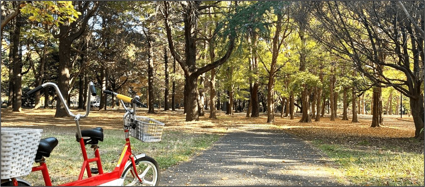 代々木公園サイクリングセンターがリニューアルオープン【12/24(水)に記念イベントを開催します！】