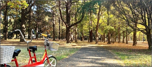 代々木公園サイクリングセンターがリニューアルオープン【12/24(水)に記念イベントを開催します！】