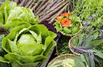 eWLwe2sVTNaOmkmkxSAD.jpg?w=940&h=940