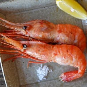 eWOkRUsgMgeXMN27IhjU.jpg?w=940&h=940