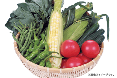 eXDkOjhU4O6SvPOF7TSa.png?w=940&h=940