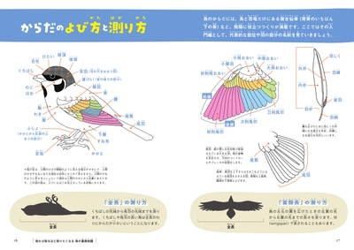 eXF603mFV8t74fQk5nW5.jpg?w=940&h=940