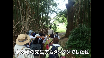 eXKy38qc3XBJJXsXDamY.jpg?w=940&h=940