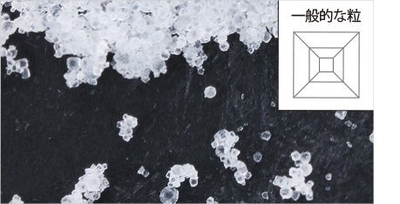 eXenH96ts6OEnUXSnAhE.jpg?w=940&h=940