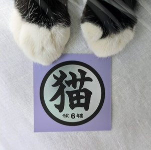 eXpHP1Y6IpS4sE31alxl.jpg?w=940&h=940