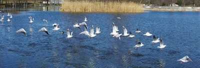 eXqKQHxM2ffsxQUURrtB.jpg?w=940&h=940