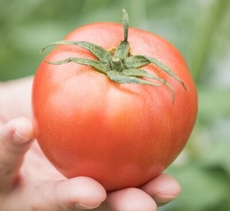 eYeQxB57mmQXHMxOcnqz.jpg?w=940&h=940