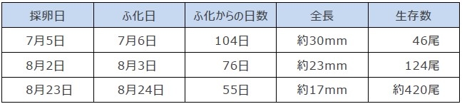 令和5年(2023年)10月18日時点の計測結果