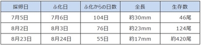 令和5年（2023年）10月18日時点の計測結果