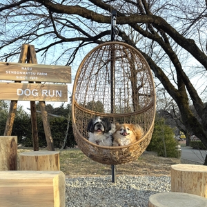 ebDe8RxEbW76KrmBJlJ2.jpeg?w=940&h=940