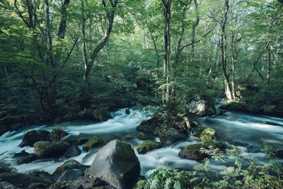 eboUsozmkQjzo4rdZnVv.jpg?w=940&h=940