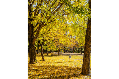 ecvvwtdx4BW8XmT8a2Jh.png?w=940&h=940