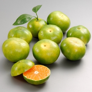 efN8tmLQxrT8i8p3t9g9.jpg?w=940&h=940