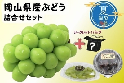 【福袋】岡山県産ぶどう詰合せセット（全４品）
