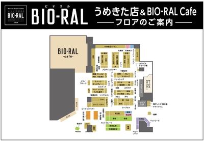 egHsuljoqnLAsJI01EHY.jpg?w=940&h=940