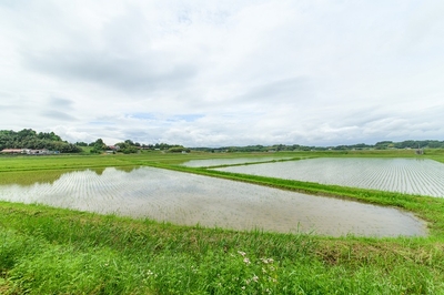 egcwGXwbrCl1hyYLSoer.jpg?w=940&h=940