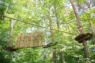 ehU3bjhVUOdJWTRuO7mN.jpg?w=940&h=940