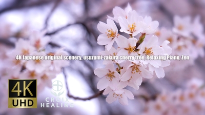 ei5inWuigDVgkvuXmXsj.jpg?w=940&h=940