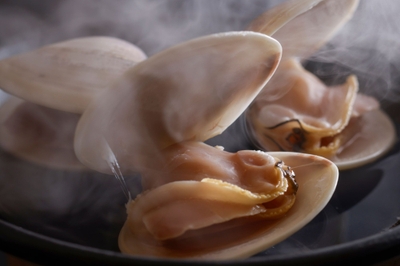 【旬のひと品｜初夏一例】磯の香りが溢れ出す、肉厚な蛤の酒蒸し。