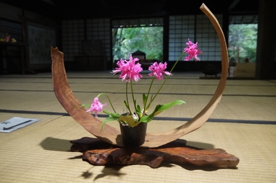 eigL74QtlCFEau9p4agD.jpg?w=940&h=940