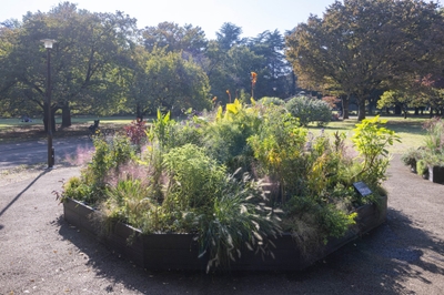 Eガーデンの様子（11月）